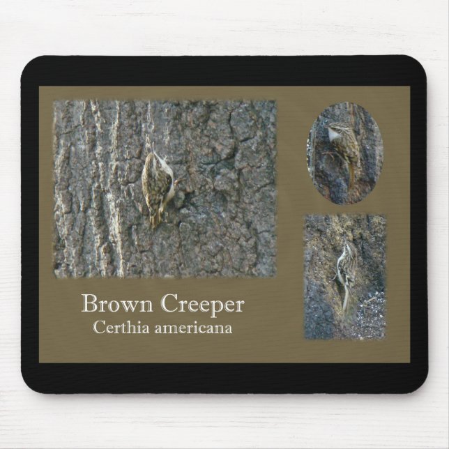 Brown Creeper Songbird Coordinating Items Mouse Mat (Front)
