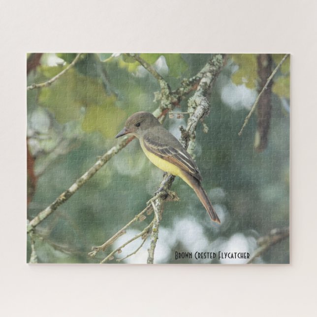 Brown Crested Flycatcher, bird lover's Jigsaw Puzzle (Horizontal)