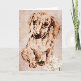 Brown Dachshund and Edelweiss Greeting Card