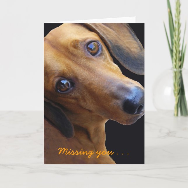 Brown Dachshund, Missing you . . .Greeting Card (Front)