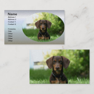 Brown Dachshund Puppy Business Card