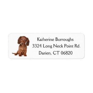 Brown Dachshund Puppy Dog Personalised