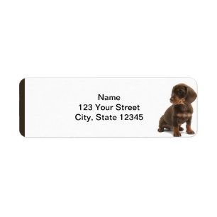 Brown Dachshund Puppy Return Address Label
