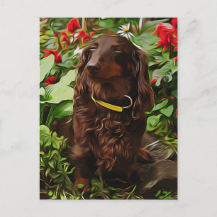 Brown Dachshund Sitting In The Garden With Flower Postcard