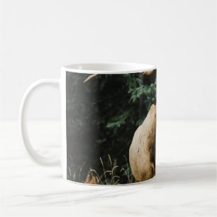 BROWN DEER ON GREEN GRASS DURING DAYTIME COFFEE MUG