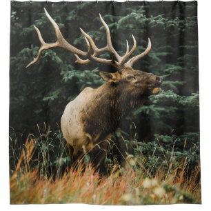 BROWN DEER ON GREEN GRASS DURING DAYTIME SHOWER CURTAIN