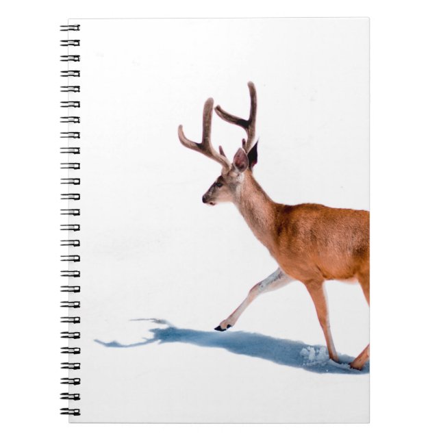 BROWN DEER ON WHITE BACKGROUND NOTEBOOK (Front)