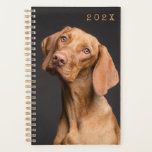 Brown Dog Face Photo Template Yearly Planner<br><div class="desc">Beautiful brown dog planner with year on front. This dog image can be replaced with a photo of your own marvellous pet if you wish, just be sure that your image is large enough to fit. His sweet face and big soft ears make a perfect image to greet you all...</div>