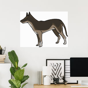 Brown Dog Poster