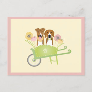 Brown Dogs In Wheelbarrow Spring Flowers Postcard