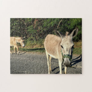 Brown Donkeys Animals Pets Fun Jigsaw Puzzle