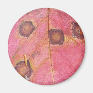 Brown Dotted Red Fall Leaf Magnet