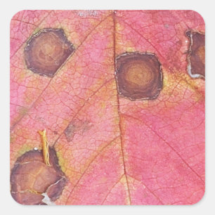 Brown Dotted Red Fall Leaf Square Sticker