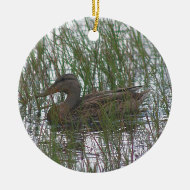 Brown Duck Wildlife Animal Ornament (Front)