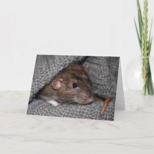 Brown Dumbo Rat Photo Greeting Card