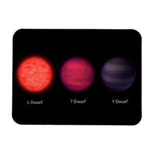 Brown Dwarfs As Seen By An Interstellar Traveller. Magnet