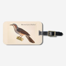 Brown Eared Bulbul Luggage Tag