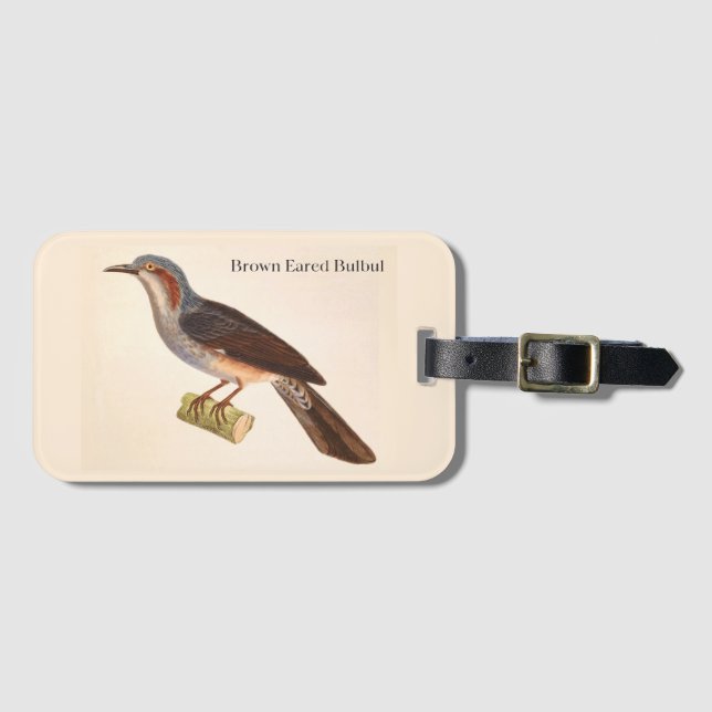 Brown Eared Bulbul Luggage Tag (Front Horizontal)