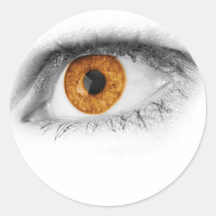 Brown Eye Art Classic Round Sticker