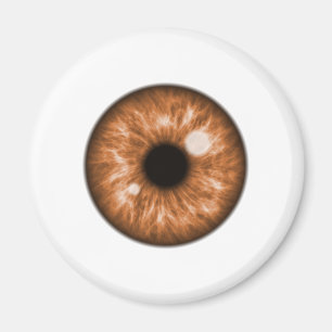 Brown Eye Ball Funny Magnet