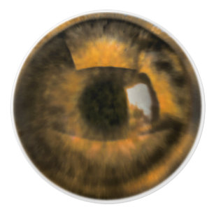 Brown Eyeball Ceramic Knob
