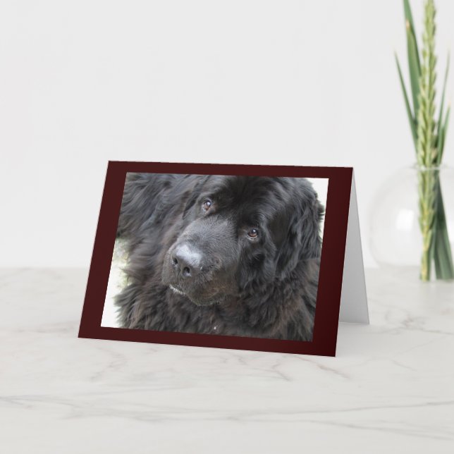 brown eyed hugo card (Front)