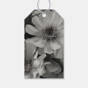 Brown Eyed Susan Flowers Gift Tags