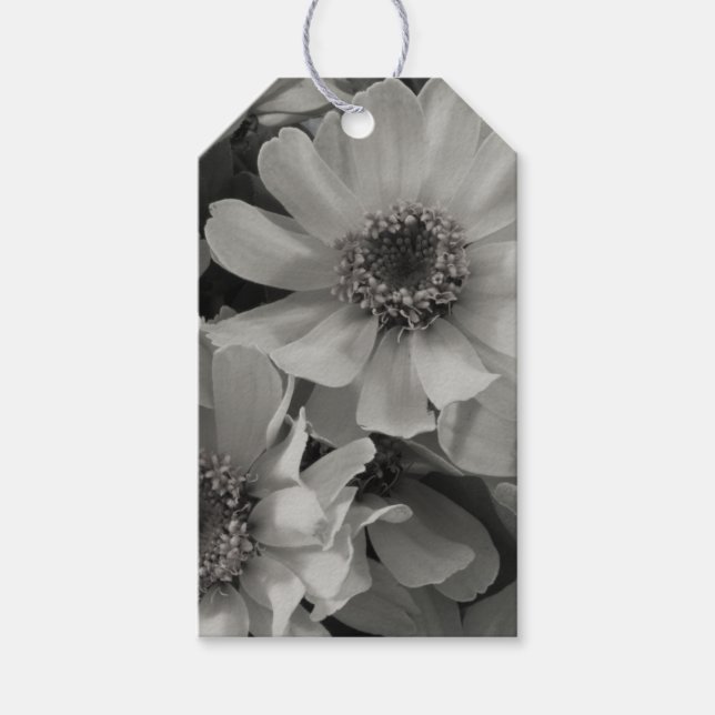 Brown Eyed Susan Flowers Gift Tags (Front)