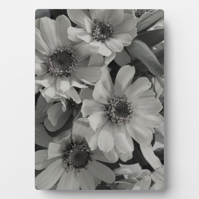 Brown Eyed Susan Flowers Plaque (Front)