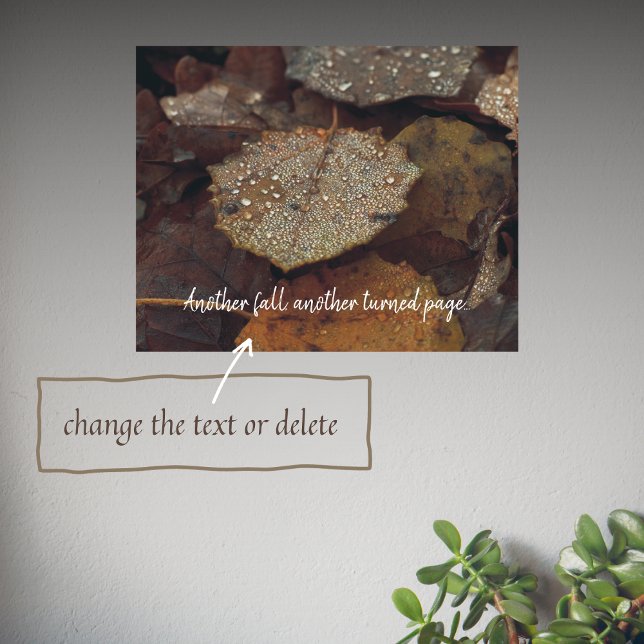 Brown fallen leaves after rain poster (Creator Uploaded)