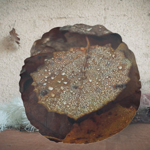 Brown fallen leaves after rain round cushion
