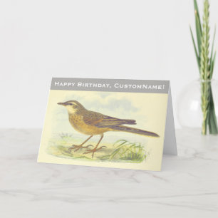 Brown-Feathered Bird Standing on the Ground Card