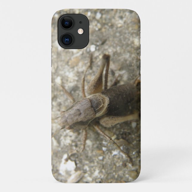 Brown Field Cricket iPhone 3 Case (Back)