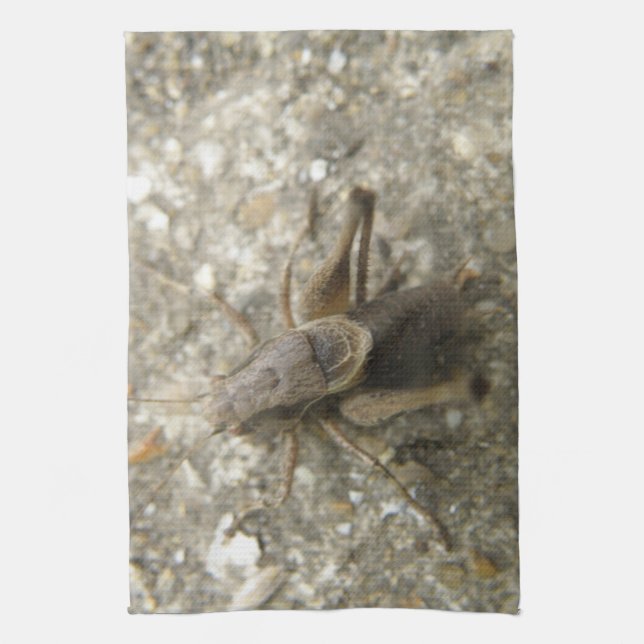 Brown Field Cricket Kitchen Towel (Vertical)