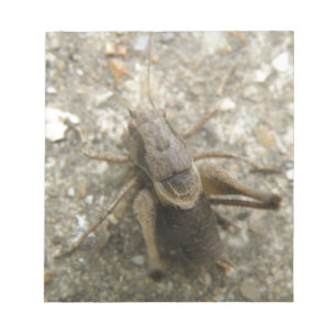 Brown Field Cricket Notepad