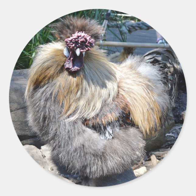 Brown Fluffy Ugly Chicken, Classic Round Sticker (Front)