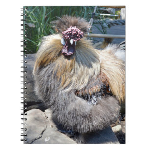 Brown Fluffy Ugly Chicken, Notebook