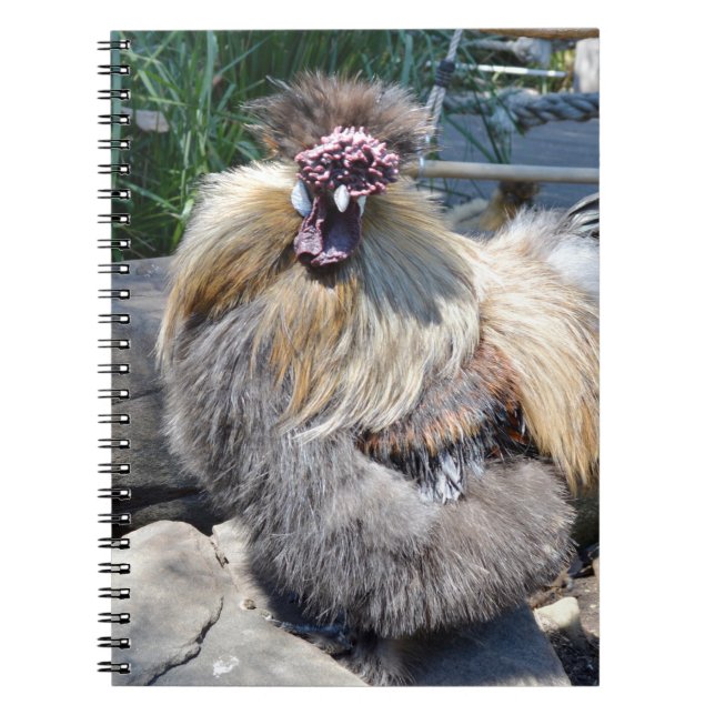 Brown Fluffy Ugly Chicken, Notebook (Front)