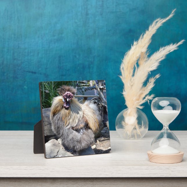 Brown Fluffy Ugly Chicken, Plaque (Insitu)