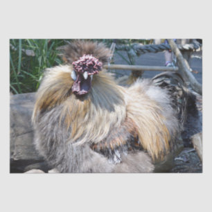 Brown Fluffy Ugly Chicken, Tissue Paper