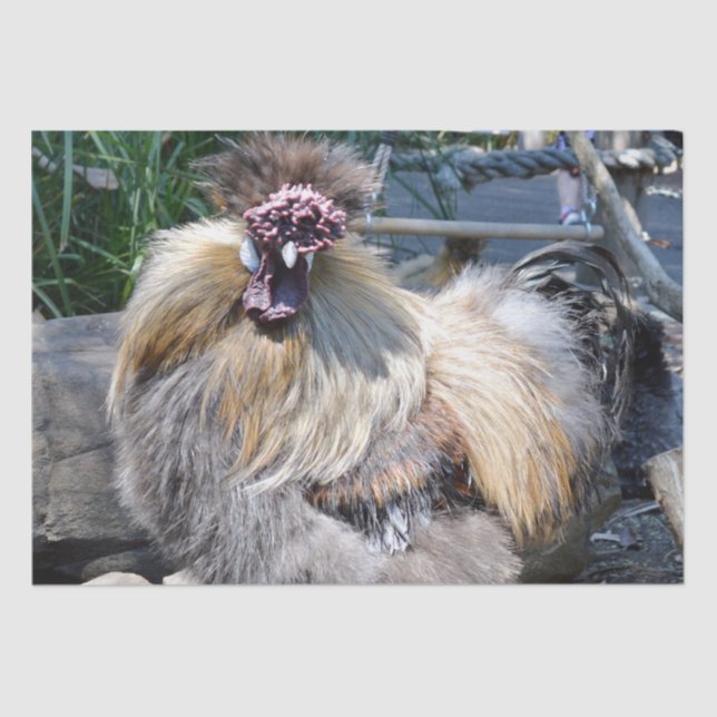 Brown Fluffy Ugly Chicken, Tissue Paper (Front)
