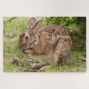 Brown Fluffy wild Bunny Rabbit praying Jigsaw Puzzle
