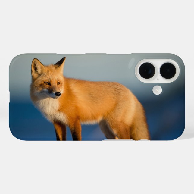 Brown Fox Case-Mate iPhone Case (Back (Horizontal))