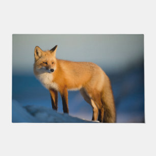 Brown Fox Doormat
