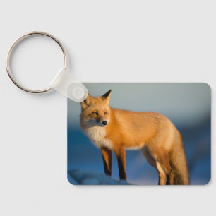 Brown Fox Key Ring
