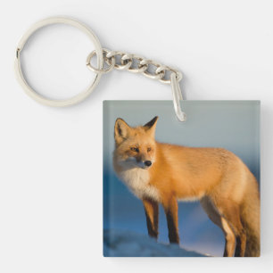Brown Fox Key Ring
