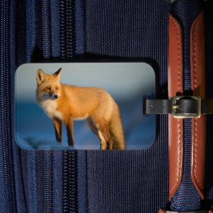 Brown Fox Luggage Tag