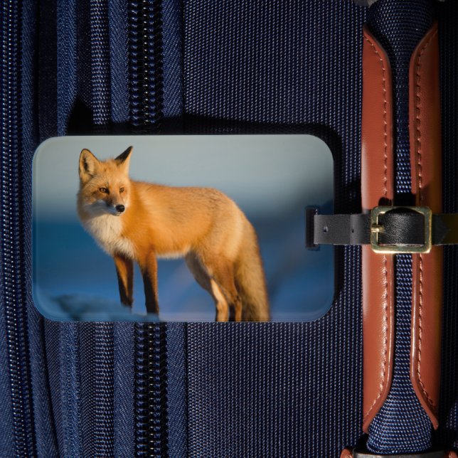 Brown Fox Luggage Tag (Front Insitu 4)
