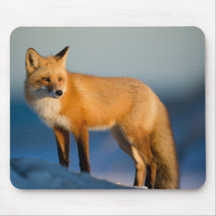 Brown Fox Mouse Mat