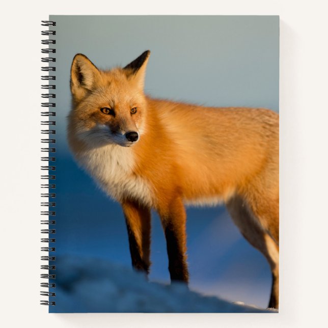 Brown Fox Notebook (Front)